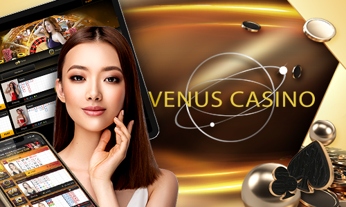 4444win 77bet cassino Terminal móvel